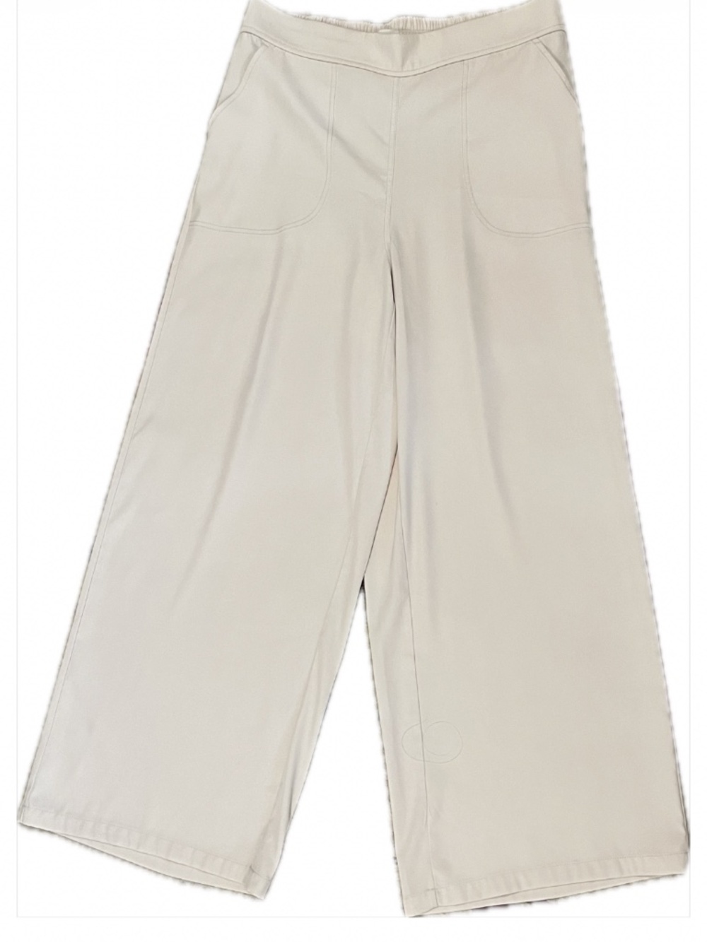Max studio Wide Leg